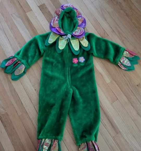 Flower costume 2-4yrs - Picture 1 of 2